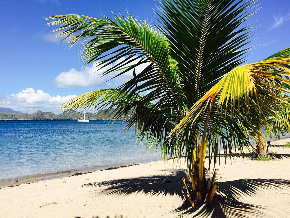 beach oualie